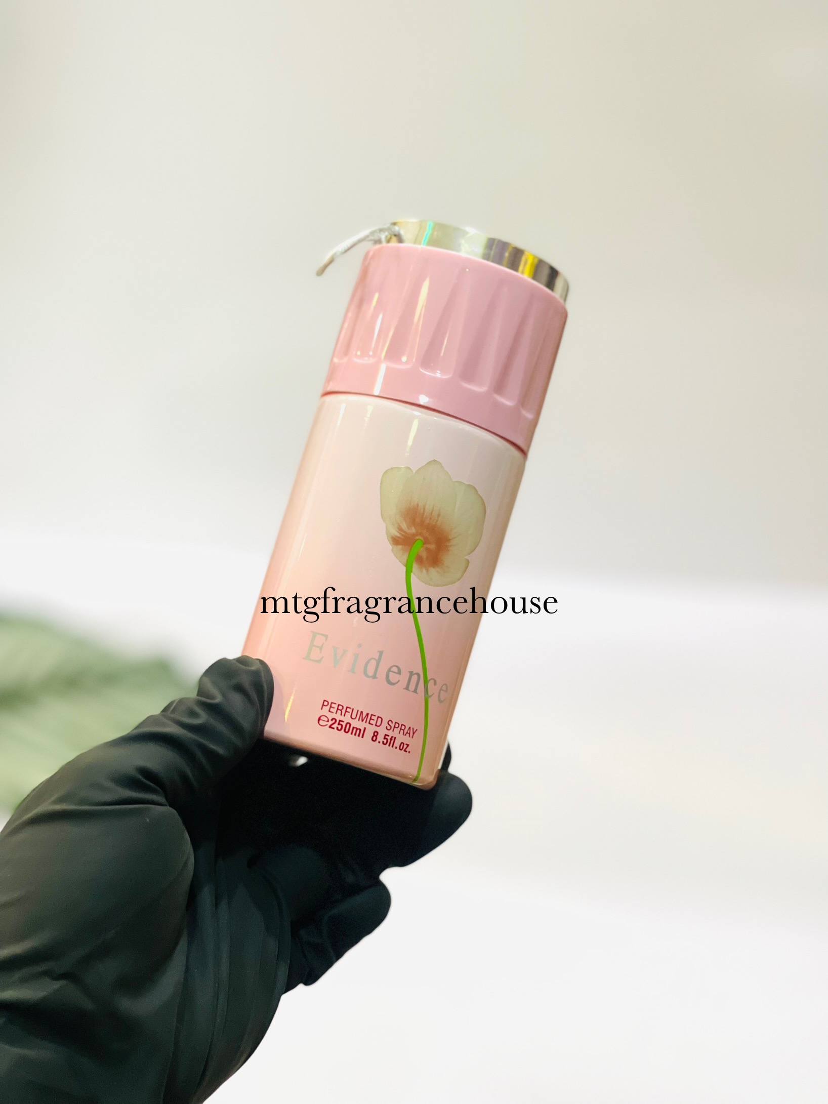 FRAGRANCE WORLD BODY SPRAY 250ML - EVIDENCE